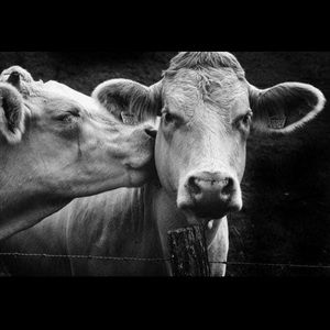 Meet your Posher, Bethany